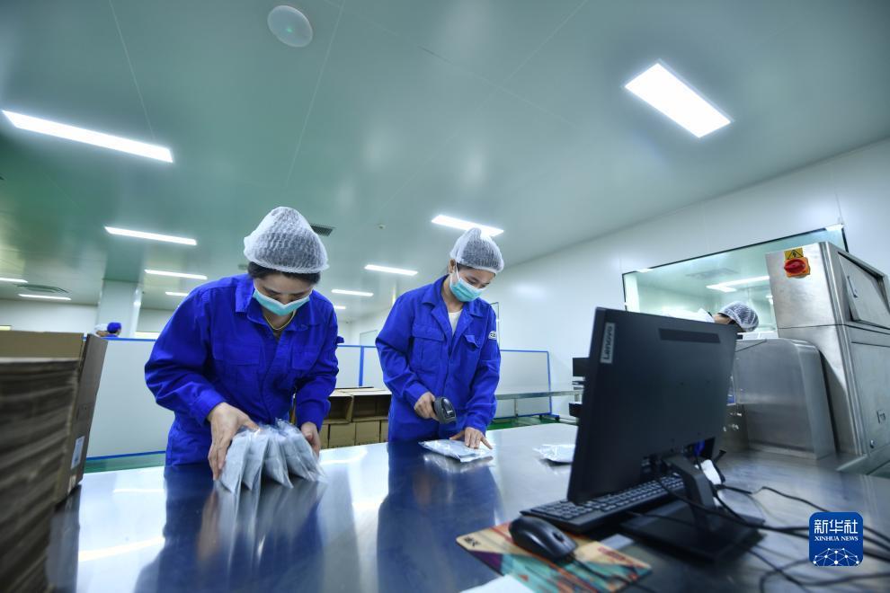 澳门新永利113